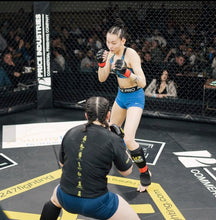 Load image into Gallery viewer, Adult Class