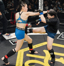 Load image into Gallery viewer, Adult Class